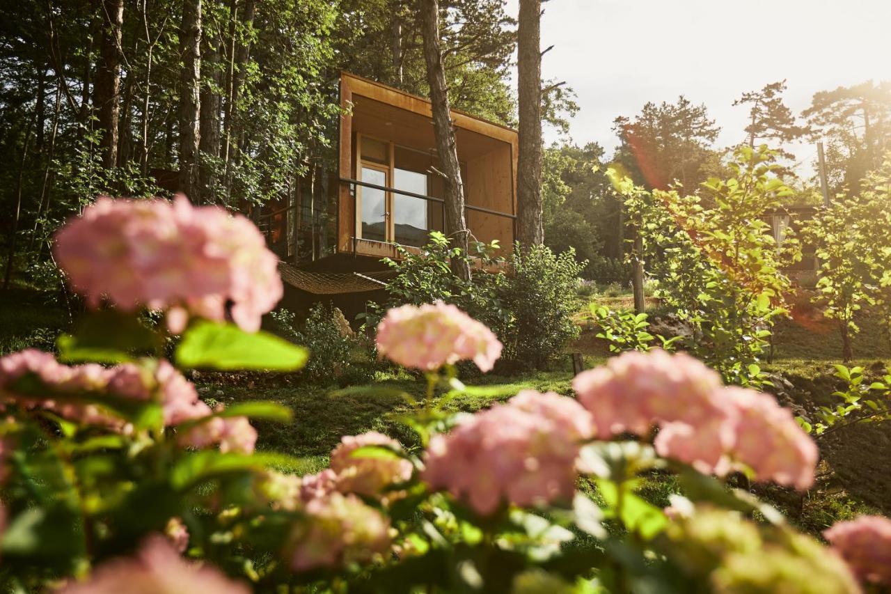 Theodosius Forest Village - Glamping In Vipava Valley Dış mekan fotoğraf