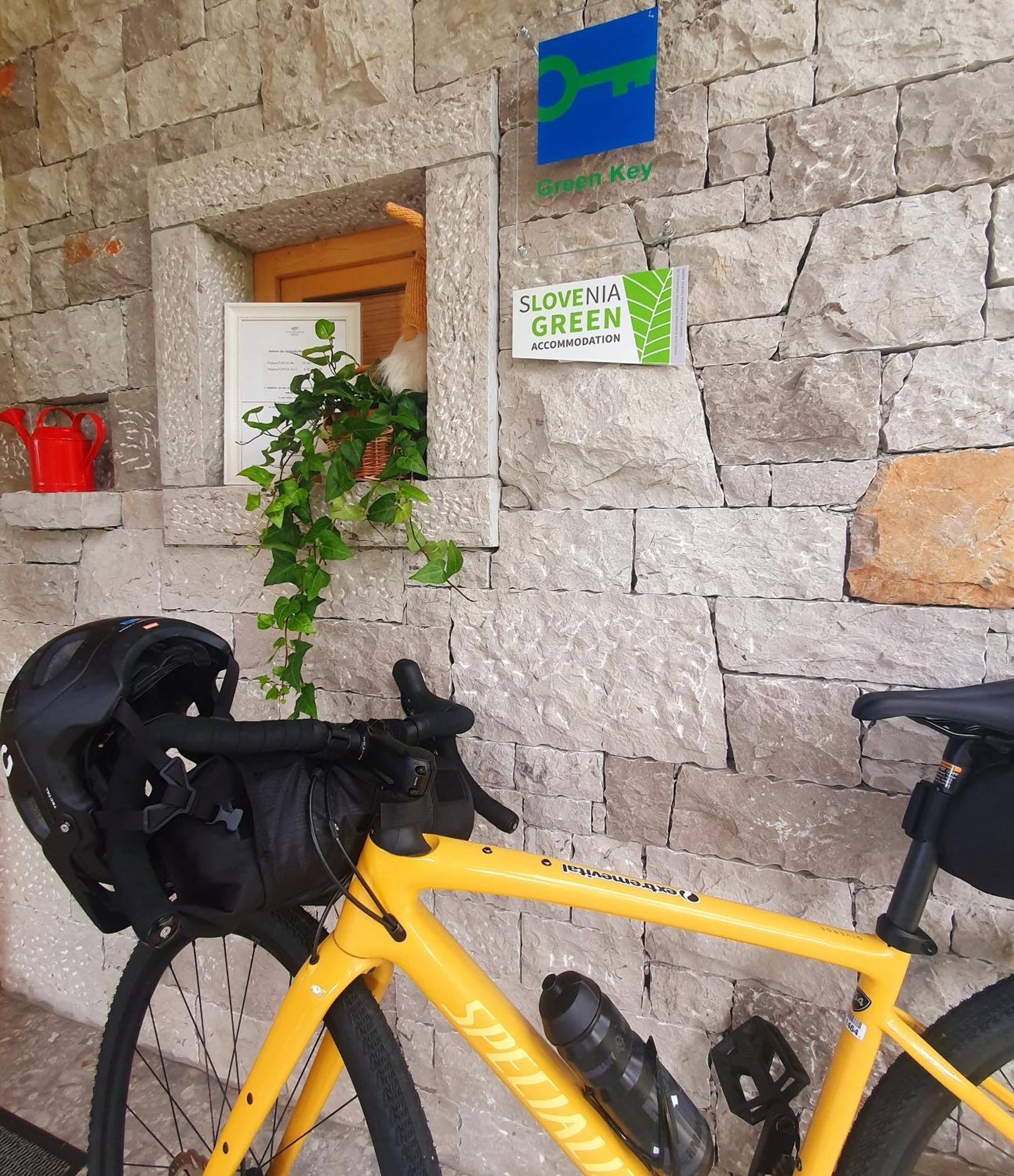 Theodosius Forest Village - Glamping In Vipava Valley Dış mekan fotoğraf