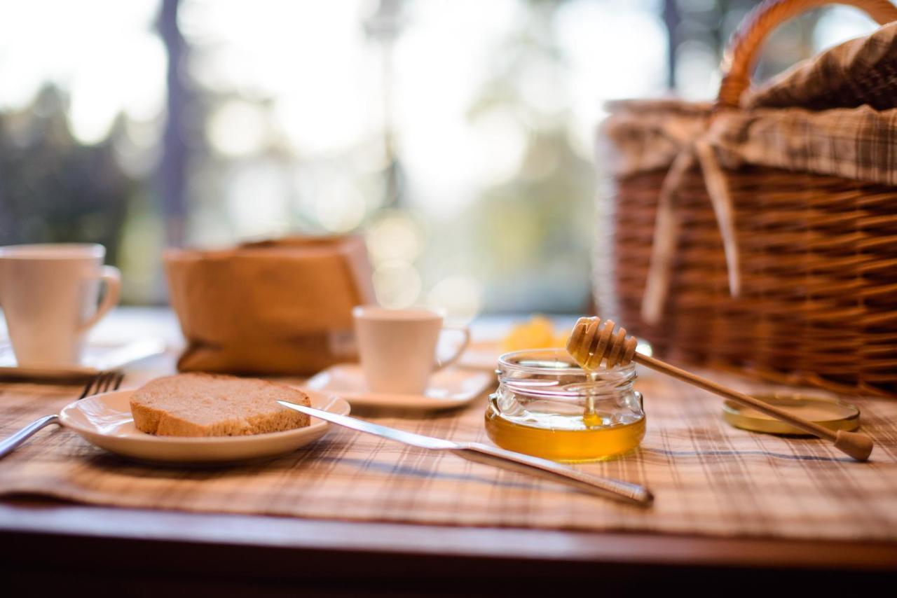 Theodosius Forest Village - Glamping In Vipava Valley Dış mekan fotoğraf